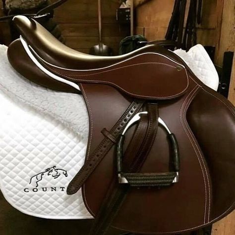 English Horse Tack, Horse Riding Outfit, Equestrian Aesthetic, Black Cowgirl, Horse Riding Clothes, Horse Fashion, Horse Dressage, Horse Equipment, Horse Gear