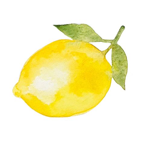 Painting Lemons Easy, Draw A Lemon, Watercolour Lemon, Lemon Drawing, Christian Journals, Watercolor Lemon, Lemon Watercolor, Lemon Painting, Lemon Art