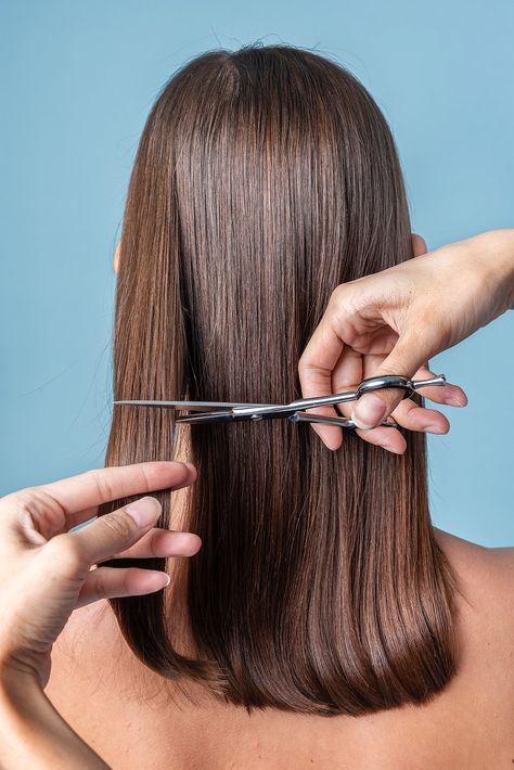 Young woman getting a haircut | premium image by rawpixel.com / Teddy Hair Stylist Pictures, Aussie Hair Products, Getting A Haircut, Free Haircut, Hair Stylist Logo, Curling Iron Hairstyles, Beauty Salon Logo, Short Brown Hair, Wella Hair