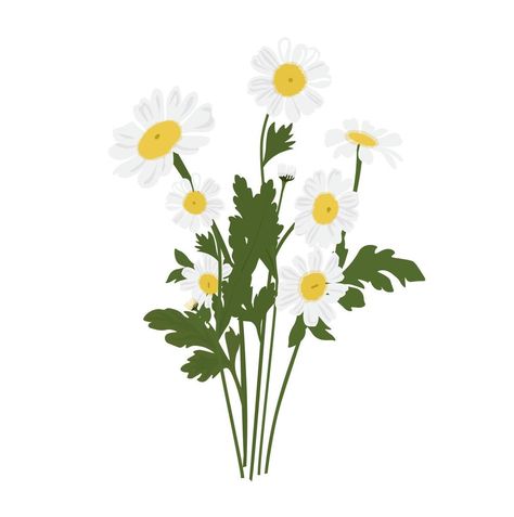 Bouquet of daisies vector stock illustration. Spring bunch of meadow flowers. White petals. Isolated on a white background. Bouquet Of Daisies, White Petals, Meadow Flowers, Flowers White, Background Background, Background White, Vector Stock, Peta, Stock Illustration