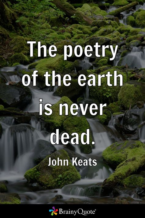 The poetry of the earth is never dead. - John Keats Keats Poetry, Erma Bombeck Quotes, Keats Quotes, John Keats Quotes, Erma Bombeck, English Poets, Brainy Quotes, John Keats, Beautiful Forest