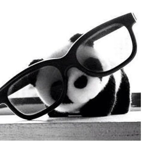 panda glasses We Heart It, Lost, Not Found, Black And White, Black