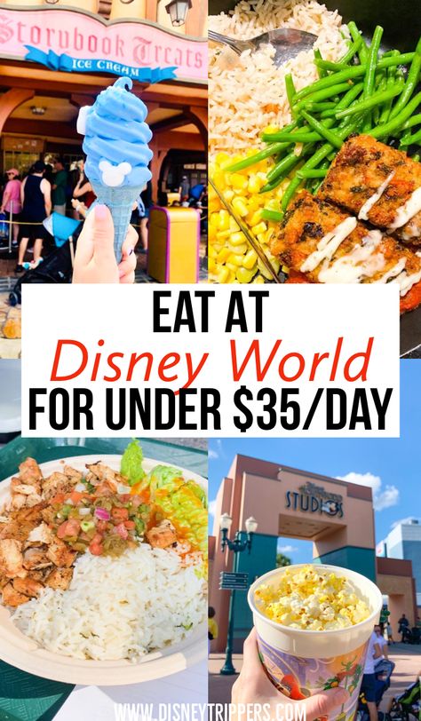 Disney World Cheap, How To Eat Cheap, Best Disney World Food, Eat Cheap, Food Disney, Disney Cheap, Disney On A Budget, Cheap Food, Disney World Vacation Planning