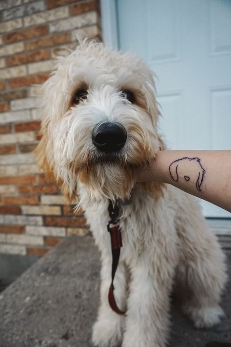 Tattoo of goldendoodle dog Dog Tattoo Goldendoodle, Goldendoodle Tattoo Ideas, Two Dog Tattoo, Golden Doodle Tattoo Outline, Goldendoodle Tattoo Outline, Doodle Dog Tattoo, Golden Doodle Tattoo, Goldendoodle Tattoo, Sticker Sleeve