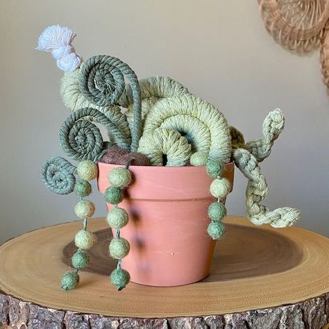 Macrame Succulent, Cactus Macrame, Fern Macrame Tutorial, Desert Macrame, Tropical Macrame, Landscape Macrame, Macrame Coral Reef, Felt Hearts Crafts, Macrame Wall Hanging Diy