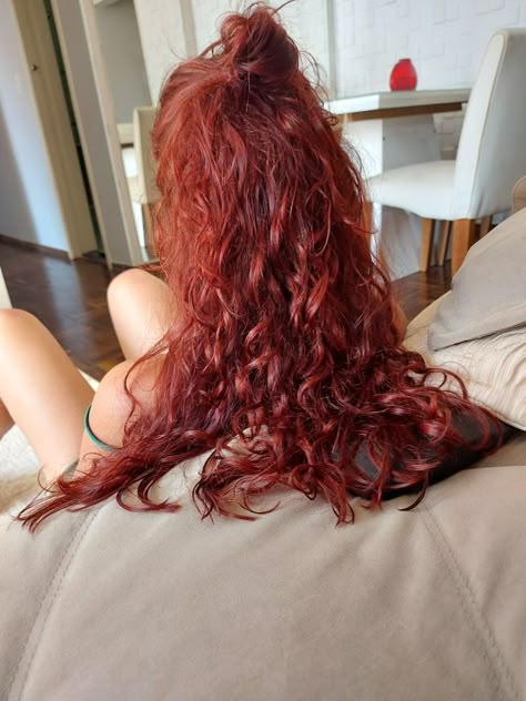 Curly Cherry Red Hair, Curly Red Hair Aesthetic, 2024 Ootd, 2024 Hair Trends For Women, 2024 Hair Trends, Fiery Red Hair, Red Hair Inspo, Wine Hair, Red Curly Hair