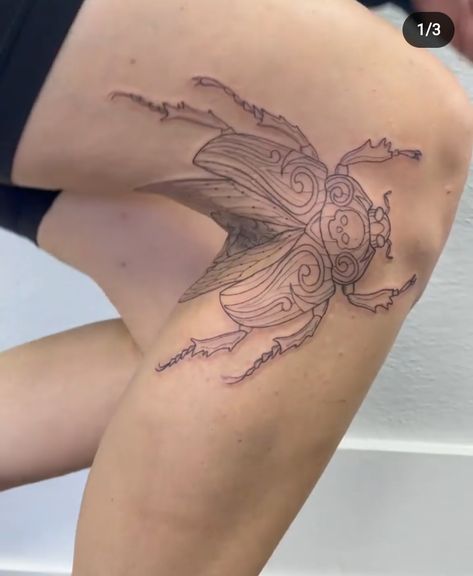 Opening Butterfly Tattoo, Butterfly Tattoo Knee, Tattoo Knee, Bug Tattoo, Dreamcatcher Tattoo, Tattoo Shop, Butterfly Tattoo, Flower Tattoo, Tatting