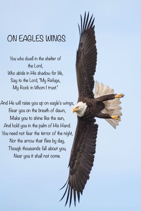 Eagles Wings Bible Verse, Wings Of Eagles Scripture, On Eagles Wings Tattoo, Eagles Wings Tattoo, Eagle Bible Verse, Eagle Wings Tattoo, Eagle Quotes, On Eagles Wings, Eagles Quotes