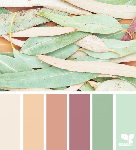 Color Nature Seeds Color, Colour Pallets, Color Pallete, Palette Ideas, Design Seeds, Color Balance, Color Palette Design, Colour Ideas, Color Harmony