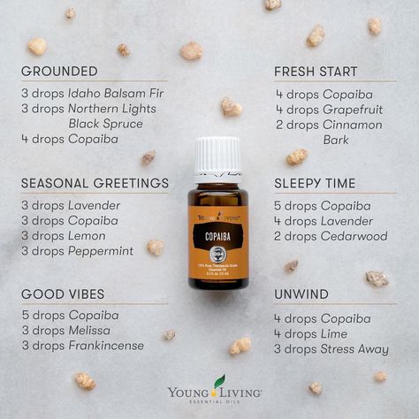 Young Living Education on Instagram: “Copaiba has a warm, grounding, and inviting aroma. Diffuse its earthy scent to revitalize after a busy day or to relax and unwind before…” Young Living Oils Recipes, Eo Blends, Living Oils Recipes, Copaiba Essential Oil, Essential Oil Diffuser Blends Recipes, Young Living Essential Oils Recipes, Essential Oils Guide, Essential Oil Diffuser Recipes, Oil Diffuser Recipes