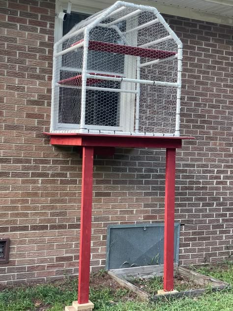 PVC catio covered in chicken wire on wooden platform. Panel in window has a cat door. Cat Window Enclosure, Cat Proof Window Coverings, Creative Cat Door Ideas, Catio Ideas Cat Window, Cat Door In Window, Diy Cat Door In Door, Window Catio Diy, Cat Door Ideas, Pvc Catio