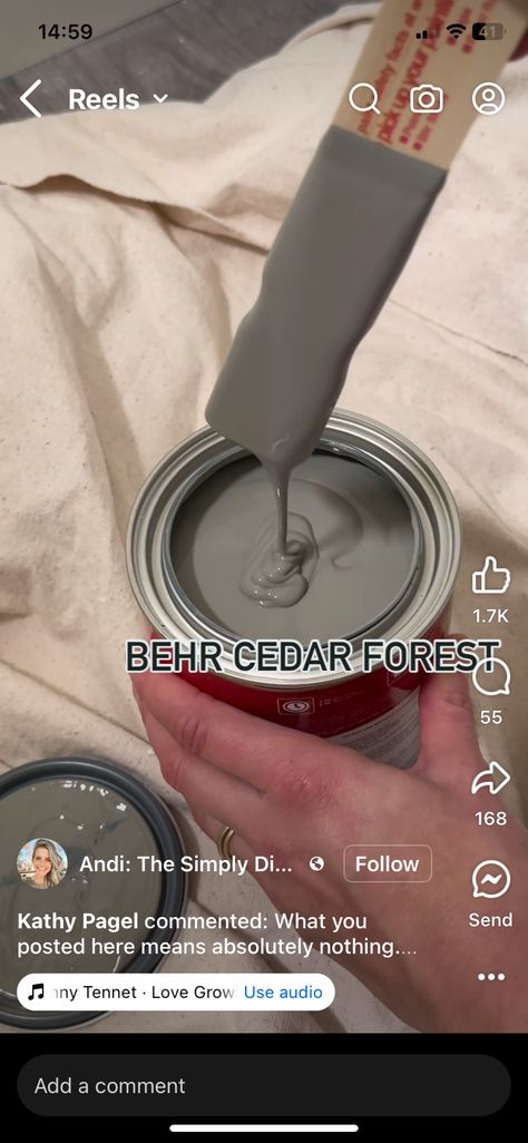 Behr Cedar Forest, Moody Fireplace, Fireplace Room, Cedar Forest, Forest Painting, Paint Colours, Paint Colors, New Homes, Fireplace