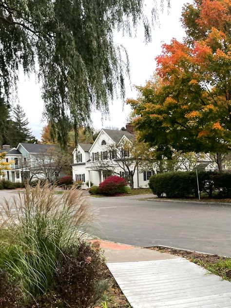 Autumn Walk Trees Fall Orange Leaves October Home Old House Aesthetic Pretty Cozy Colonial Cooperstown New York New York State Aesthetic, Upstate New York Aesthetic, Old House Aesthetic, Ny Aesthetic, Cooperstown New York, Cooperstown Ny, Small Towns Usa, Autumn Walk, Roosevelt Island