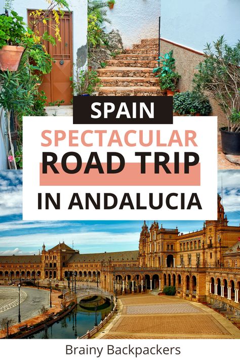 Considering a road trip in Southern Spain? With this epic Andalucia road trip itinerary you'll get the most out of your trip. It includes all the must-see places and have a ton of suggestions (from a local) for where to go if you have extra time. This is a must road trip during your Spain vacation! #europetravel Spain Road Trip, Europe Itinerary, Backpacking Spain, Spain Trip, Murcia Spain, Spain Itinerary, Spain Culture, Andalucia Spain, Spain Vacation