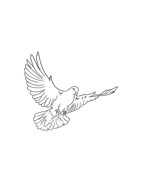 Fine Line Dove Tattoo Design, Dove Tattoo Design Drawing, White Pigeon Tattoo, Small Dove Tattoo Men, Earth Angel Tattoo, Bird Tattoo Outline, Dove Tattoo Design For Men, Dove Tattoo Stencil, Pigeon Tattoo Design