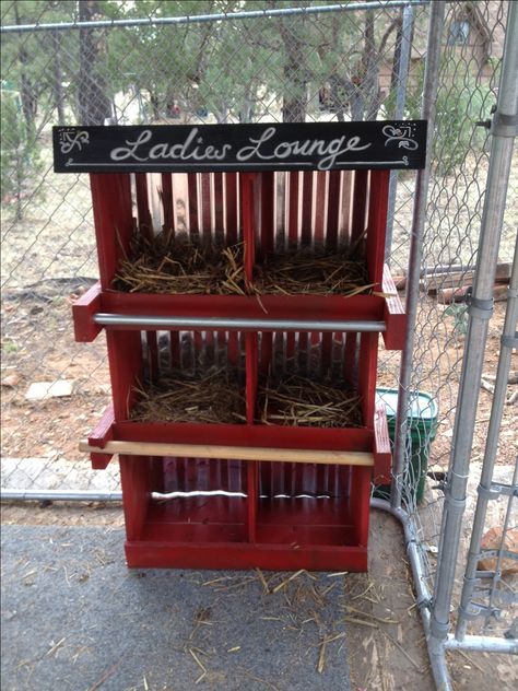 Nesting Box For Chickens, Nesting Boxes For Chickens, Chook Pen, Chicken Boxes, Chicken Poop, Chicken Nesting Boxes, Eggs For Sale, Diy Chicken Coop Plans, Bamboo Box