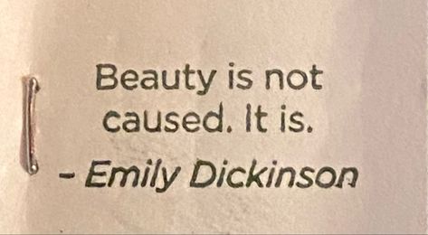 Emily Dickinson Quotes, Dickinson Poems, Emily Dickinson Poems, Senior Quotes, Drink Tea, Literature Quotes, Emily Dickinson, Literary Quotes, Poem Quotes