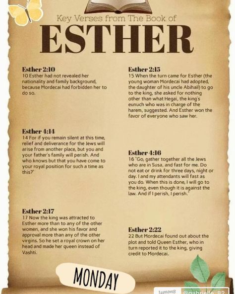 We started Esther on Monday and it’s been great! Comment below for an invite link. #ewif #empoweredwomenempowerwomen #bible #esther #god #jesus #biblestudy #biblejournaling Esther Craft, Biblical Knowledge, Esther Bible Study, Daily Bible Reading Plan, Prayer Notes, Esther Bible, Book Of Esther, Women Of The Bible, Bible Study Books