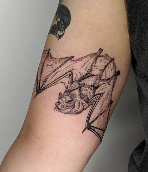 Little Brown Bat, Scientific Tattoo, Constellation Tattoo, Bat Tattoo, Chest Piece Tattoos, R Tattoo, B Tattoo, Constellation Tattoos, Badass Tattoos