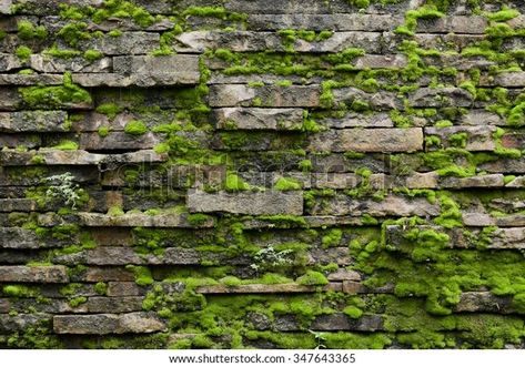 Interesting Decor, Brick Wall Texture, Moss Wall, Wall Texture, 3d Shape, Cabins In The Woods, Floor Design, Brick Wall, Fun Decor