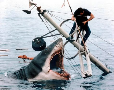 Unseen behind-the-scenes photos show Steven Spielberg's 25ft mechanical shark during filming of Jaws Jaws Wallpaper, Martin Brody, Donnie Darko Frank, Jaws 1975, Jaws 2, Star Wars Fallen Order, Roy Scheider, Jak And Daxter, Watch Dogs 2