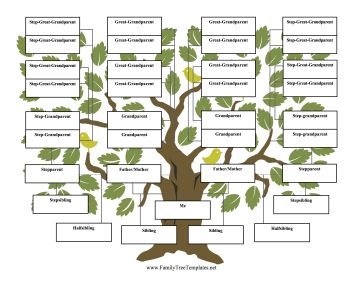 Full-relation siblings, half-siblings, and stepsiblings are all included in this printable four-generation family tree for blended families. Free to download and print Blended Family Tree Template, Spanish Family Tree, Family Tree Templates, Free Family Tree Template, Family Tree For Kids, Trees For Kids, Blended Families, Ancestry Family Tree, Tree Project