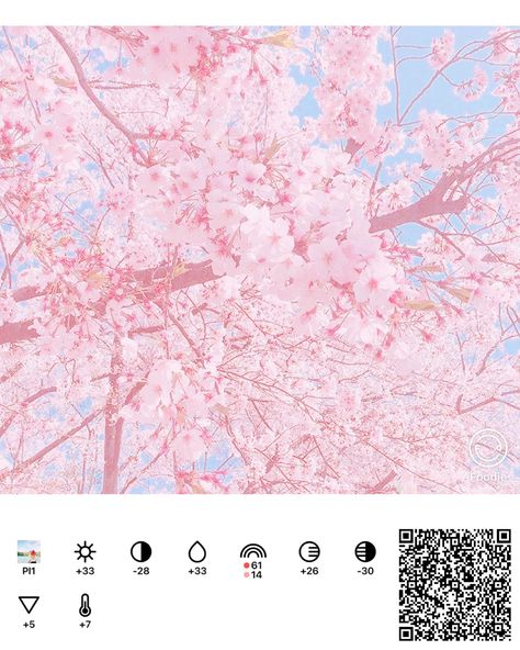 Pink Foodie Filter, Pink Dreams Filter, Pink Filter Aesthetic, Soft Pink Filter, Notion Library, Filter Foodie, Foodie Filter, Strawberry Crepes, Pink Filter