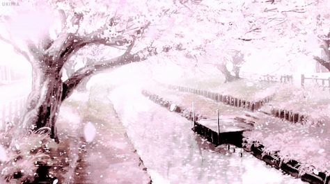 Sakura Anime Cherry Blossom, 트위터 헤더, Gif Background, Cute Banners, Sakura Tree, Sakura Flower, Anime Gifs, Banner Gif, Anime Backgrounds Wallpapers