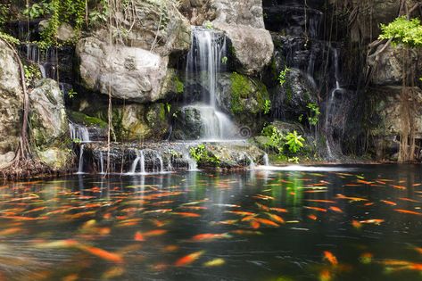 Koi Fish In Pond, Fish In Pond, Koi Pond Backyard, Ponds Ideas, Pond Decor, Yard Wall, Fantasy Settings, Fish Pond Gardens, Farm Pond