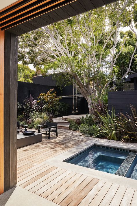 55-Foot Ficus Tree Swings and a Pond-Inspired Pool Make for Backyard Bliss Venice Beach House, Venice House, California Backyard, Futurism, Indoor Outdoor Living, Venice Beach, Backyard Landscaping Designs, Small Backyard, Live Plants