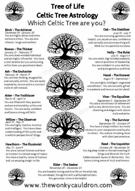 Tree of Life : Celtic Tree Astrology Diy Stick Crafts Branches, Trees And Their Meanings, Animism Symbol, Celtic Druid Aesthetic, Celtic Tree Astrology, Pagan Tree, Celtic Symbols And Meanings, Celtic Zodiac, Tattoos Drawing