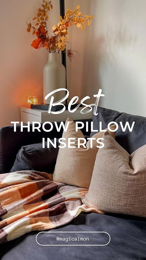 The Absolute BEST Throw Pillow Inserts Throw Pillow Inserts, Best Pillow, Amazon Finds, Pillow Inserts, Throw Pillow, Throw Pillows, Pillows, Home Decor, Home Décor