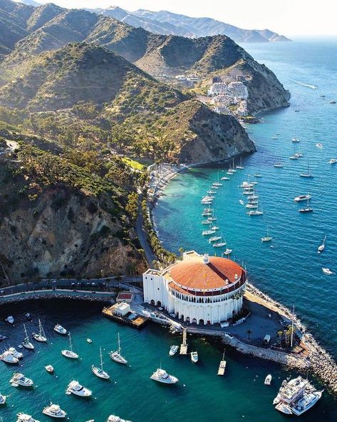 Cheap Vacation Spots, Catalina California, Catalina Island California, Kat Diy, Santa Catalina Island, New Orleans Museums, Cheap Vacation, Santa Catalina, Catalina Island