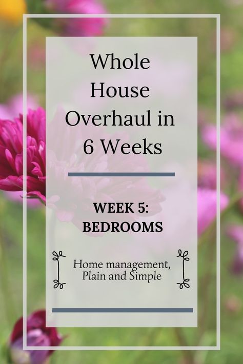 Whole House Overhaul in 6 Weeks: Week 5 - Home Plain and Simple // Home management help for your unique situation. Weekly Cleaning Schedule, Weekly Cleaning, Simplifying Life, Home Management, Week 5, Simple Home, Organization Planning, Chore Chart, Cleaning Schedule