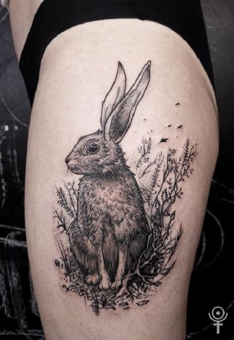 If after three or four days you notice appearance of a bumps on the skin, do not scratch them. Be patient, and they will pull in a few days. Only use a cream that will keep them constantly moist. Hase Tattoos, Tattoo Budapest, Tier Tattoo, Rabbit Tattoo, Animals Tattoo, Petit Tattoo, Bunny Tattoos, Rabbit Tattoos, Nature Tattoos