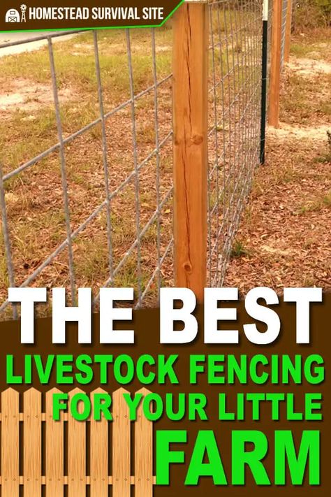 Goat Fence, Livestock Fence, Small Backyard Design Layout, Backyard Design Layout, Farm Plans, Homestead Farm, Livestock Farming, Farm Fence, Easy Backyard