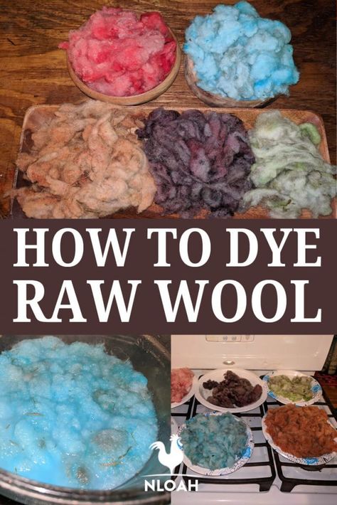 Raw Wool Crafts, How To Make Yarn From Wool, Processing Raw Wool, Wool Processing, How To Dye Yarn Naturally, Diy Homeschool, Natural Dyes For Wool, Dye Garden, How To Dye Wool Roving