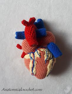 Anatomical Crochet, Art Au Crochet, Confection Au Crochet, Haken Baby, Anatomical Heart, Human Heart, Crochet Diy, Crochet Heart, Diy Crochet Projects