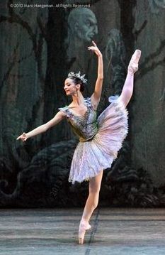 Marianna Suriano as the Queen of the Dryads in Rome's Teatro dell' Opera production of Don Quixote  photograph © 2013 by Marc Haegeman Queen Of Dryads Ballet, Dancing Pics, Ballet Tutus, Ballet Technique, Ballet Pictures, Ballet Costume, Dance Dreams, Ballet Poses, Ballet Inspiration