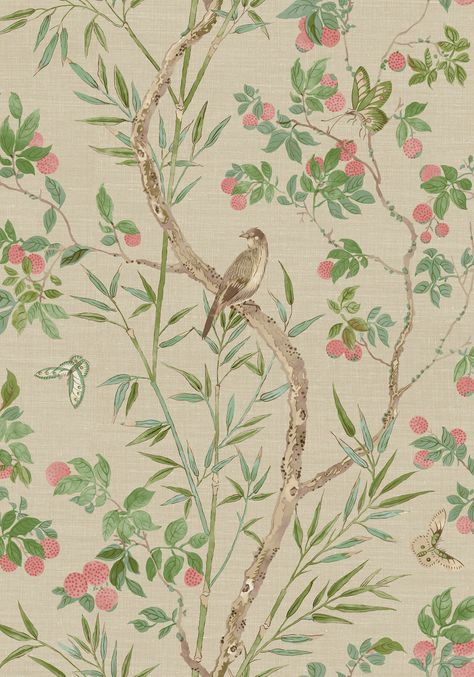 An open and airy design, Claire is an elegant choice in fabric and wallcovering, offered in background colors ranging from subtle neutrals to punchier blue. #floralwallpaper #interiordesign #thibautwallpaper Wallpaper Thibaut, Magnolia Home Rugs, Coral And Green, Lychee Fruit, Thibaut Wallpaper, Birds And Butterflies, A Street Prints, Bamboo Leaves, Green Collection