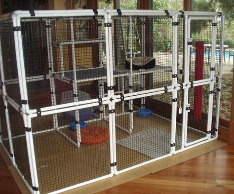 Pet DIY Enclosure Cats PVC Cattery Ideas, Pet Enclosures, Diy Cat Enclosure, Cat Space, Pet Diy, Cat Patio, Outdoor Cat Enclosure, Cats Stuff, Cat Proofing