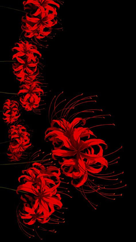 The Red Spider Lily, Red Spider Lily Wallpaper Laptop, Red Demon Slayer Wallpaper, Red Spider Lily Demon Slayer, Spider Lilly Wallpapers, Ipad Wallpaper Demon Slayer, Red Anime Aesthetic Background, Anime Flower Aesthetic, Lycoris Rouge