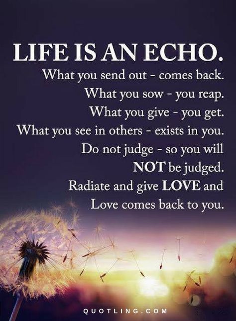 Quotes Life is an echo. What you send out - comes back. What you sow - you reap. What you give - you get. What you see in others - exists in you. Do not judge - so you will not be judged. Radiate and give Love and Love comes back to you. Life Is An Echo, Love Comes Back, Numerology Numbers, A Course In Miracles, Free Your Mind, Daily Affirmation, Life Success, Good Advice, The Words