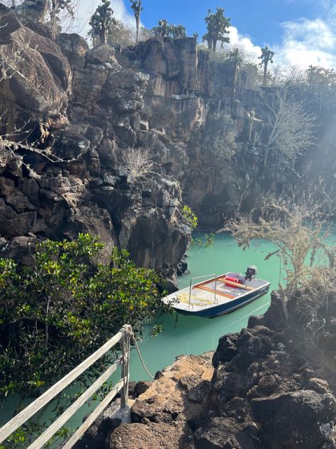 #galapagos #ecuador #santacruz #island #boat #travel #travelinspo #vacation Galapagos Islands Aesthetic, Islas Galapagos Ecuador, Ecuador Aesthetic, Santa Cruz Galapagos, Travel Ecuador, Spanish Homework, Galapagos Islands Travel, Galapagos Island, Galapagos Ecuador