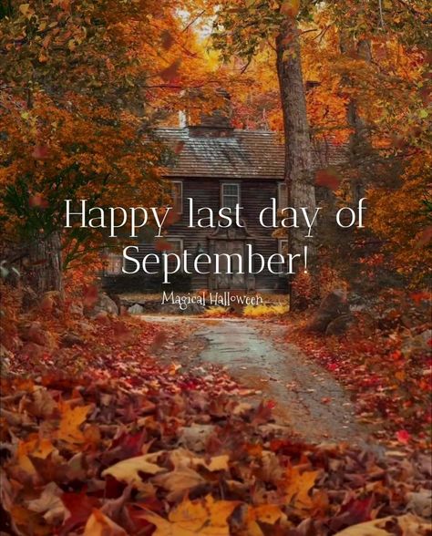 Happy last day of September everyone! 🧡🎃🌫️🍁🍂✨🌬️ | By Magical Halloween | Facebook Last Day Of September, Magical Halloween, Fall Flowers, Last Day, Fall Decor, Halloween, Flowers