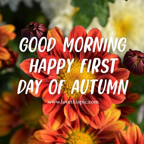 First Day Of Fall Quotes, Good Morning Quotes Funny, Wednesday Pictures, Kindness Lessons, Happy First Day Of Fall, Good Morning Facebook, Motivational Scriptures, Monday Morning Quotes, Autumn Pictures