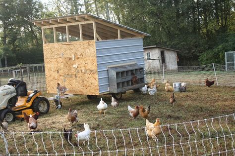 The Egg Mobile - chicken tractor from a free jetski trailer Egg Mobile, Cow Patties, Beef Farming, Homesteading Animals, Portable Chicken Coop, Chicken Tractors, Chicken Pen, Chicken Coup, Chicken Tractor