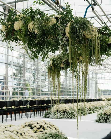 A Greenhouse Ceremony Dream 😍 This was such an incredible joy to design and produce. We couldn’t have done it without @lennonfarmgreenhouses and all the vendors on our team. 2700 pots of mums grown for this gorgeous wedding and we used every single one! Planning/Design: @house_of_catherine Venue: @lennonfarmgreenhouses Catering: @garcesevents Photography: @abbyjiu Filmography: @bayellefilms Floral Artistry: @freshdesignsflorist Lighting + Production: @onqproductions Flooring + Production:... Wedding Venue Greenhouse, Greenhouse Ceremony, Greenhouse Wedding, Ballroom Wedding, Fresh Design, Plan Design, Design House, Gorgeous Wedding, Garden Wedding