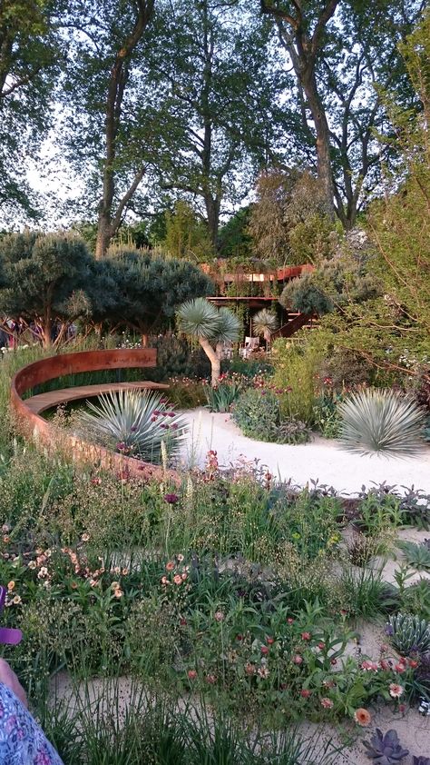 Mediterranean Flower Beds, Mediterranean Trellis, Arid Garden, Urban Balcony, Mediterranean Garden Design, Fantasy Terrain, Contemporary Mediterranean, Large Plant Pots, Mediterranean Plants