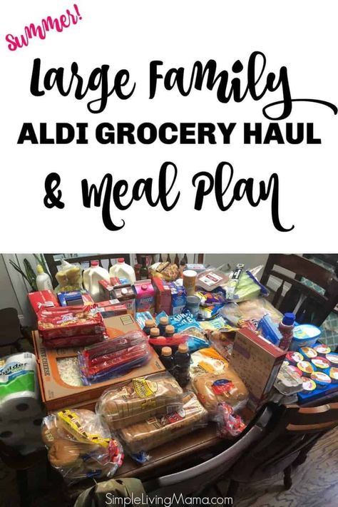 Large Family Aldi Meal Plan & Grocery Haul - Summer - Simple Living Mama Week Menu Plan, Aldi Shopping List, Meal Planning On A Budget, Family Meal Plan, Cheap Meal Plans, Aldi Meal Plan, Plane Food, Aldi Recipes, Large Family Meals